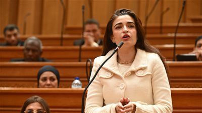 إيرين سعيد تتقدم بطلب إحاطة بسبب غياب تقرير الدخل والإنفاق عن «الإحصاء» - الخليج الان