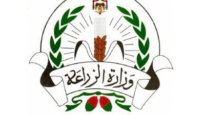 الزراعة: لا صحة لشائعات نفوق الدواجن.. وزيادة الإنتاج إلى 1.6 مليار طائر و16 مليار بيضة - الخليج الان