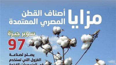 مبكرة النضج وموفرة للمياه.. "الزراعة" تعلن خريطة أصناف القطن المعتمدة لموسم 2026 - الخليج الان