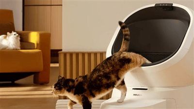 صندوق فضلات ذكي يراقب صحة القطط يوميًا.. أيه الحكاية؟ - الخليج الان