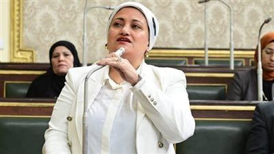 سناء السعيد ترفض 4 قروض جديدة بقيمة 331 مليون دولار: سياسة التوسع في الاقتراض تهدد الأجيال القادمة - الخليج الان