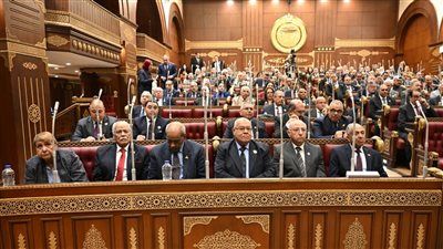 اجتماعات مرتقبة بـ«إسكان الشيوخ» لمناقشة خفض فائدة التمويل العقاري في لمحدودي ومتوسطي الدخل - الخليج الان