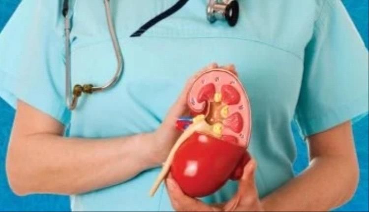 حصوات الكلى أبرزها.. 7 علامات لارتفاع مستوى حمض اليوريك لا تتجاهلها