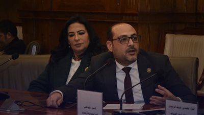 مقترح برلماني لإنشاء هيئة متخصصة لإدارة واستثمار الخامات المصرية - الخليج الان