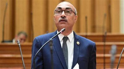 النائب إيهاب منصور لـ"تليجراف الخليج": تضارب الأرقام وغياب التوعية يزيدان أزمة الكلاب الضالة.. و1.4 مليون حالة عض خلال عام - الخليج الان