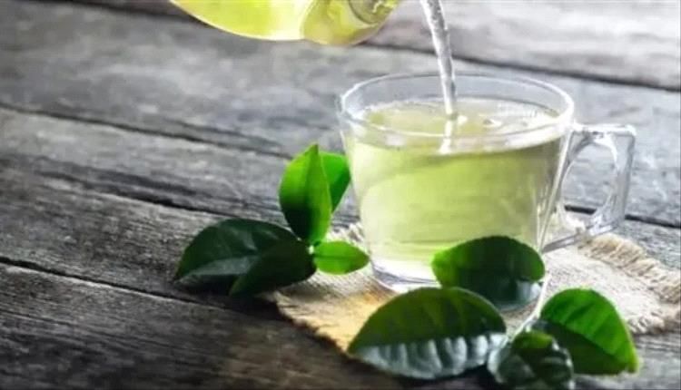 كيف يؤثر الشاي الأخضر على امتصاص الحديد في الجسم؟