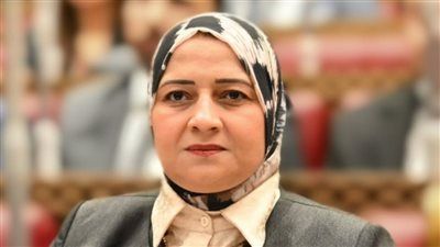 النائبه مروة قنصوه: جهود الرئيس السيسي تعزز الحوار وتدعم الأمن الإقليمي - الخليج الان