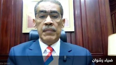 ضياء رشوان: القوة العربية المشتركة ضرورة لحماية امنها واستقرارها - الخليج الان