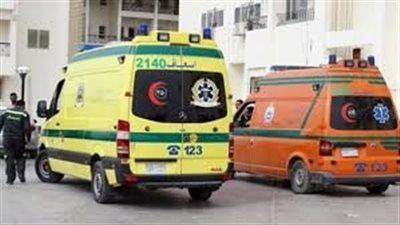 بسبب خلافات الجيرة.. نهاية مأساوية لشاب في مشاجرة دامية بين عائلتين بعزبة المائتين بالفيوم - الخليج الان