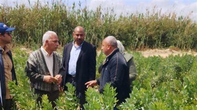 «الزراعة» تتابع إنتاج التقاوي والمحاصيل الاستراتيجية بمحطة النوبارية - الخليج الان