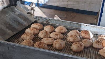 تحرير 130 محضر مخالفات مخابز وأسواق بالمنوفية خلال العيد - الخليج الان