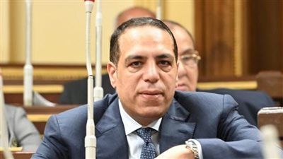 الصافي عبد العال: توجيهات السيسي ترسخ الانضباط المالي ومسار الاصلاح الاقتصادي وسط تحديات عاصفة - الخليج الان