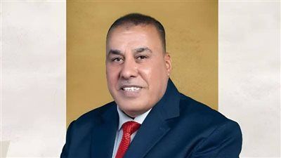 النائب محمد أبو النصر: الدولة المصرية تقوم بجهود مكثفة لاحتواء الأزمات الإقليمية - الخليج الان