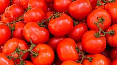 تحرك حكومي.. طرح الطماطم بسعر مخفض في المنافذ - الخليج الان