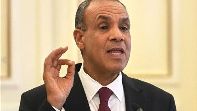 وزير الخارجية: ندين الانتهاكات الإسرائيلية السافرة على سيادة كل من لبنان وسوريا - الخليج الان