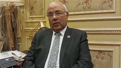 النائب محمد عطية الفيومي: طفرة استثمارات المنسوجات تعزز مكانة مصر الصناعية - الخليج الان