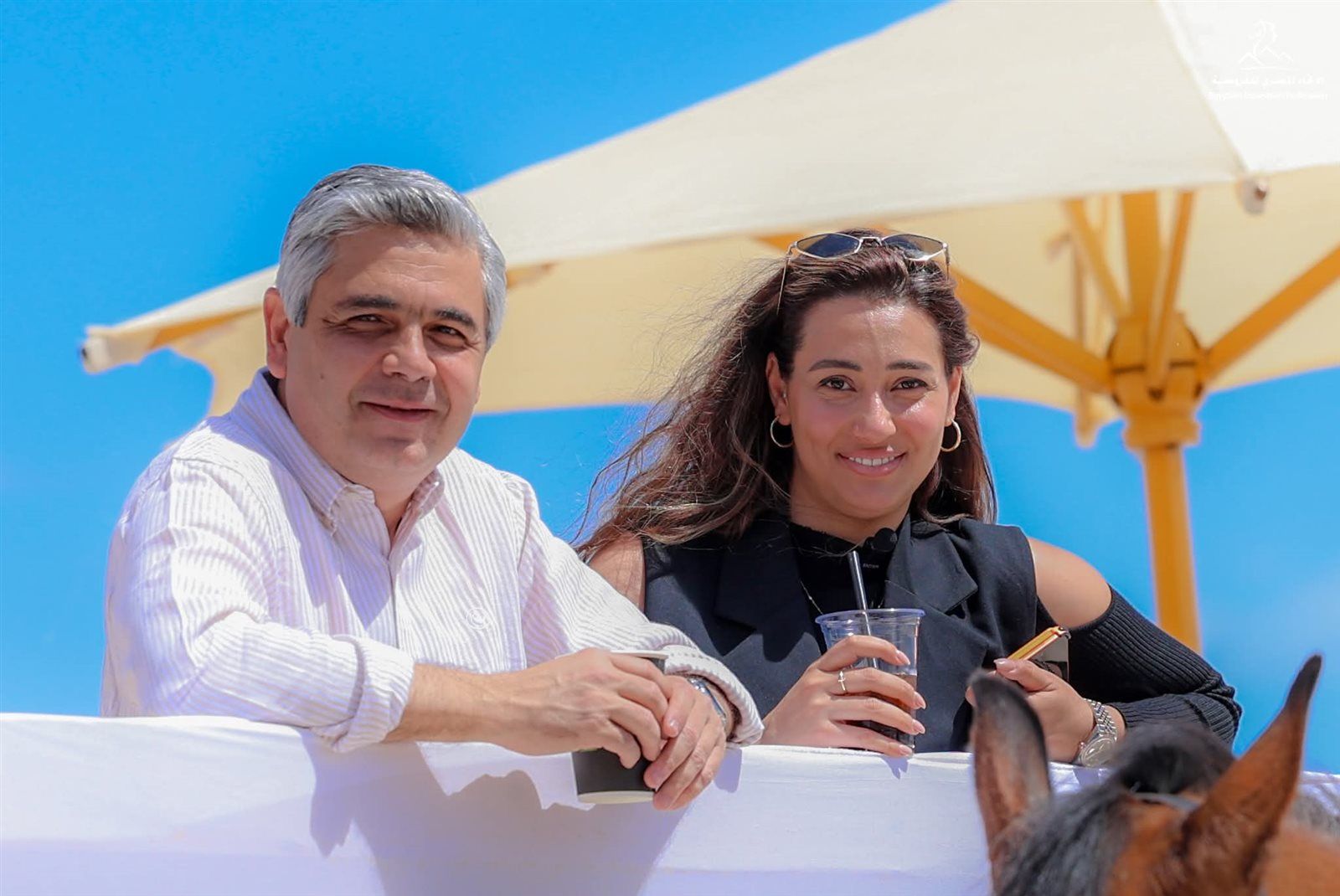 كأس مصر للفروسية 2026 تختتم منافسات اليوم الأول سوما باي - الخليج الان