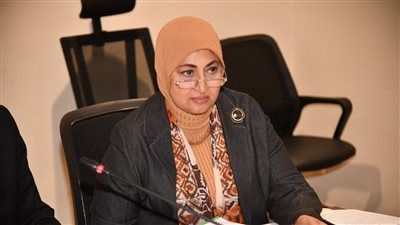 النائبة ثريا البدوي تكشف تفاصيل لقاء رؤساء اللجان النوعية مع رئيس البرلمان - الخليج الان