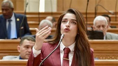 "صحة النواب" تناقش الثلاثاء طلب إحاطة للنائبة إيرين سعيد بشأن خريجي علوم تطبيقية - الخليج الان