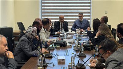 “حقوق إنسان النواب” تناقش سبل التصدي لظاهرة زواج الأطفال الأحد - الخليج الان