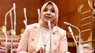 مجلس النواب ينظر الأحد في طلب مناقشة عامة للنائبة دينا هلالي بشأن توحيد المبادرات الحكومية - الخليج الان