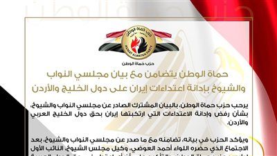 حماة الوطن يتضامن مع بيان مجلسي النواب والشيوخ بإدانة اعتداءات إيران على دول الخليج والأردن - الخليج الان