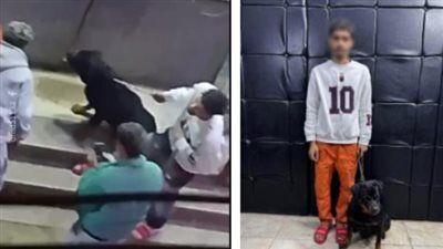 بنهزر سوا.. القبض على شخص روع آخر بكلب في مدينة نصر - الخليج الان