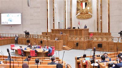 النائب طارق عيسى بالجلسة العامة للبرلمان: الأنبوبة بتوصل للمواطن ناقصة 4 كيلو.. وسعرها الفعلي 450 جنيه - الخليج الان