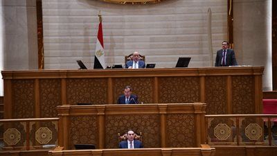 مجلس النواب يوافق نهائيا على 5 مشروعات قوانين للسماح لوزير البترول بالبحث والتنقيب عن الغاز - الخليج الان