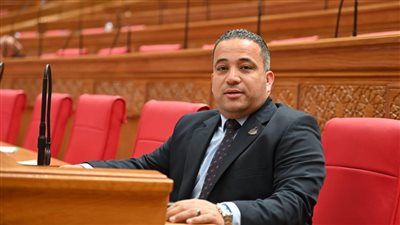 النائب هاني شحاتة: بيان مجلسي النواب والشيوخ تجسيد للإرادة الشعبية المصرية وتعبير صادق عن وحدة الصف الوطني - الخليج الان