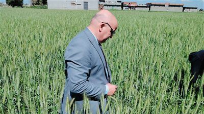 الحبس حتى 5 سنوات وغرامة 5 ملايين جنيه.. عقوبات رادعة للتعدي على الأراضي الزراعية - الخليج الان