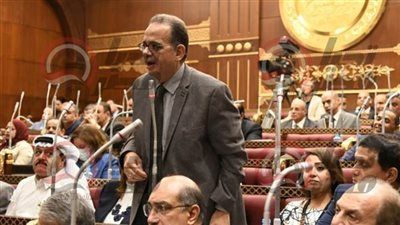 برلمانية الوفد: جهود الداخليه في القبض على عناصر "حسم" الإرهابية تؤكد يقظة الأجهزة الأمنية - الخليج الان