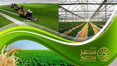 جهاز مستقبل مصر للتنمية المستدامة.. محرك رئيسي لدعم الاقتصاد الوطني ومشروعات التنمية المتكاملة - الخليج الان