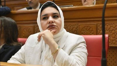 النائبة راوية مختار تنتقد قرض البنك الآسيوي: التمويل بلا مشروعات واضحة والعائد غير قابل للقياس - الخليج الان