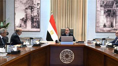 رئيس الوزراء يستعرض خطة إضافة مشروعات طاقة جديدة ومتجددة على الشبكة القومية - الخليج الان