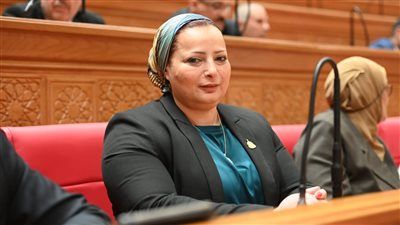 خلال اجتماع لجنتا الصحة والتعليم..النائبة مروة حسان تتقدم باقتراح نموذج «التوأمة المؤسسية» لتطوير خدمات الطوارئ بالمستشفيات - الخليج الان