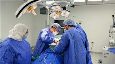 «الصحة» تستقدم 4 خبراء دوليين في تخصصات دقيقة لتعزيز جودة الخدمات الطبية ونقل أحدث التقنيات - الخليج الان