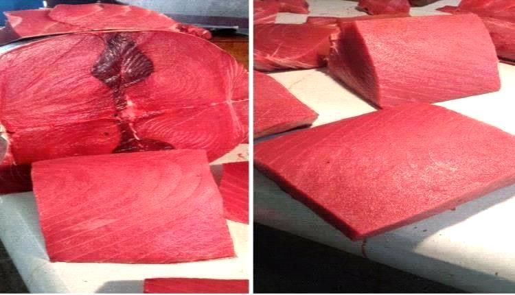 أسعار الأسماك اليوم الأربعاء فى عدن 1 ابريل 2026م