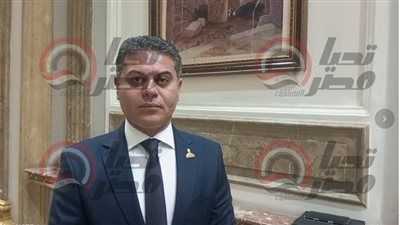 مجدي البري يكشف لـ تليجراف الخليج دور مصر في وقف التصعيد بالمنطقة ودعم الأشقاء في دول الخليج - الخليج الان