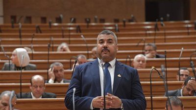 النائب عبد اللطيف أبو الشيخ يتقدم بطلب إحاطة لتدعيم وحدات الرعاية الأولية بدار السلام بـ50 ممرضًا لسد العجز - الخليج الان