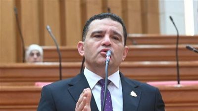 النائب أمير الجزار يتقدم باقتراح برغبة بشأن: إنشاء وصلة سكة حديد تربط بين مركز منوف ومدينة السادات بمحافظة المنوفية - الخليج الان