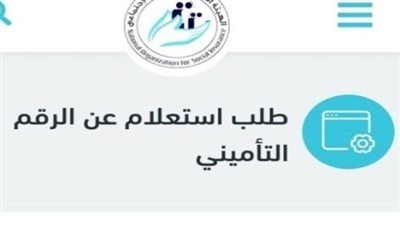 خطوات استخراج برنت تأمينات.. والاستعلام عن الرقم التأميني إلكترونيًا بسهولة عبر الهاتف والإنترنت - الخليج الان