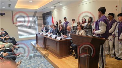 التصنيف العمري عبر الرقم القومي للأطفال دون 15 سنة.. خطة النائبة معا عبد الناصر لضبط استخدام الألعاب والمنصات - الخليج الان