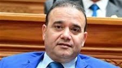 النائب ياسر عرفة: دعم الرئيس السيسي لاتفاق وقف النار خطوة تاريخية نحو استقرار المنطقة - الخليج الان