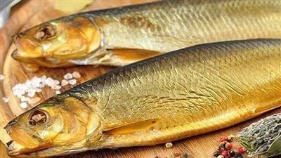 قبل الاحتفال بشم النسيم.. ضبط مصنع داخله 8 أطنان رنجة فاسدة بدون ترخيص - الخليج الان