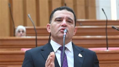 بعد مقترح سداد مليون جنيه من المواطن لسداد ديون الدولة.. النائب أمير الجزار لـ تليجراف الخليج: المقترح مالوش سند قانوني ومش هنقدر نلزم الناس تدفع - الخليج الان