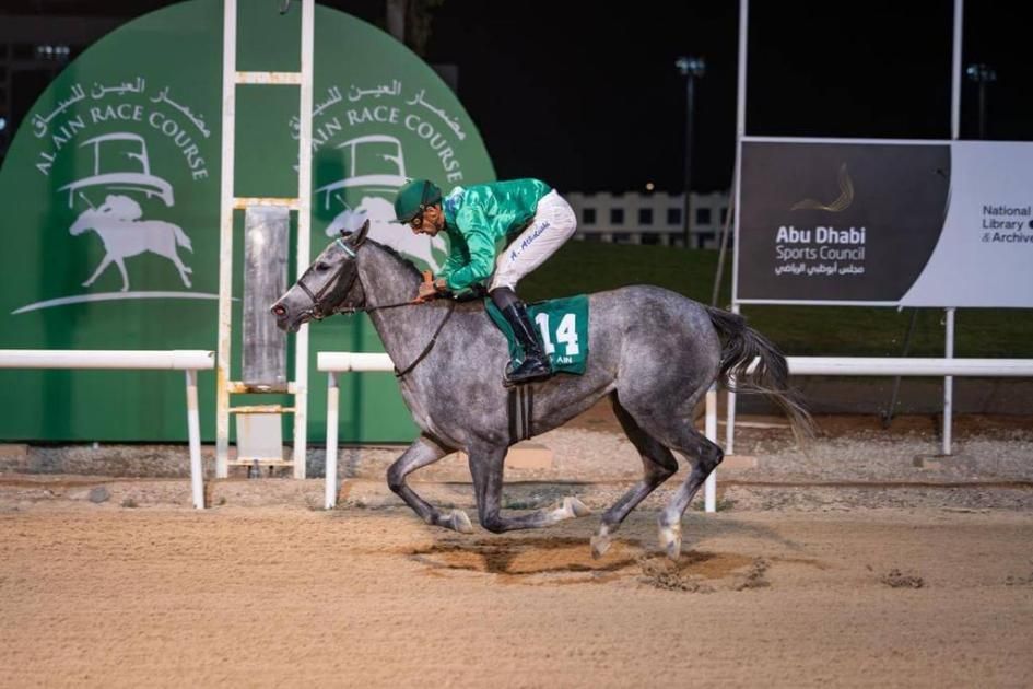 150 خيلاً تتنافس في ختام موسم مضمار العين للفروسية