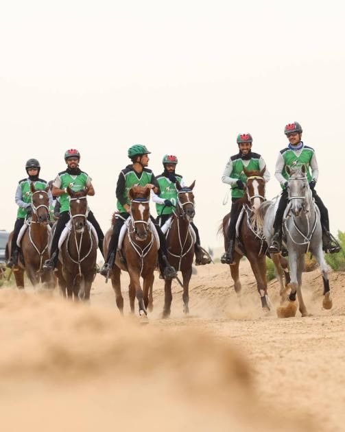 ختام موسم القدرة في بوذيب