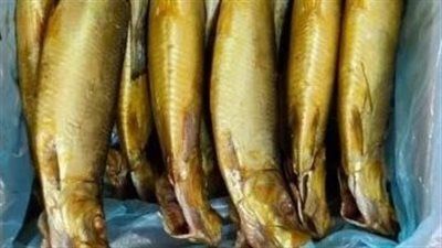 وزارة التموين تطرح الرنجة بالمجمعات الاستهلاكية بأسعار مخفضة بمناسبة شم النسيم - الخليج الان