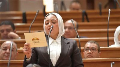 النائبة ريهام عبد النبي: الجنية المصري الأسوأ في العالم منذ بداية الأزمة - الخليج الان